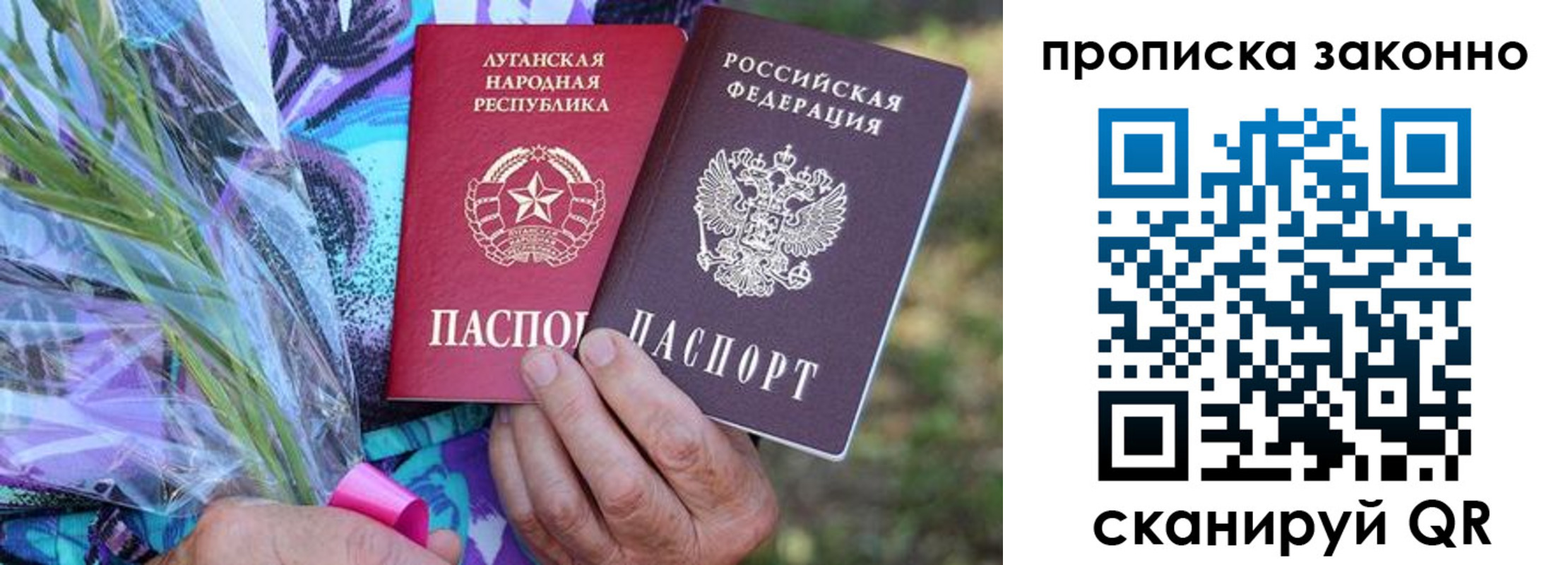 прописка для школы в Дальнегорске